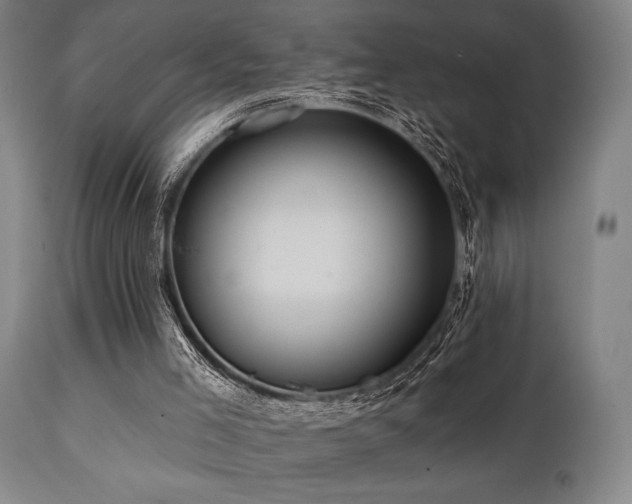 X0000112030005200908031447