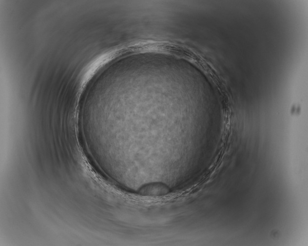 X0000112030006200908031447