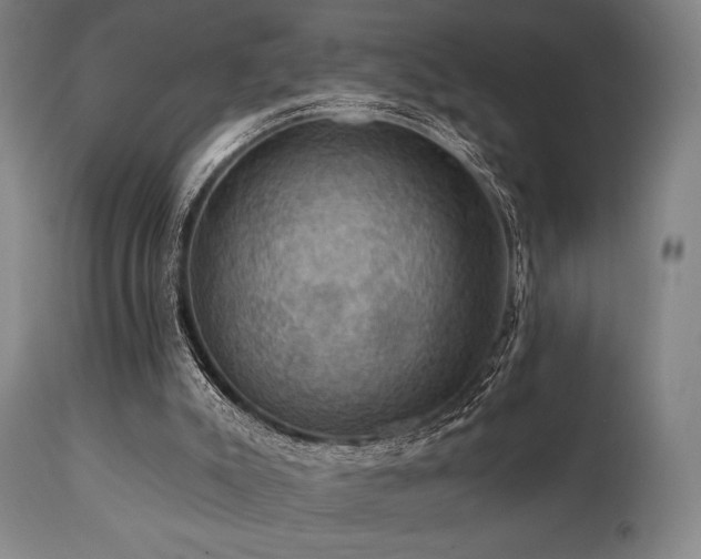 X0000112030007200908031447