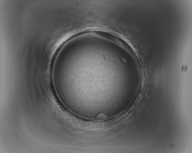 X0000112030008200908031447
