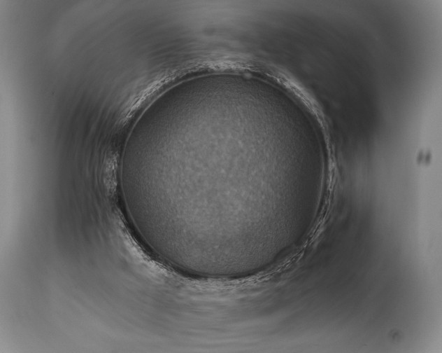 X0000112030009200908031447