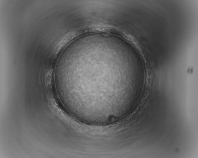X0000112030010200908031447