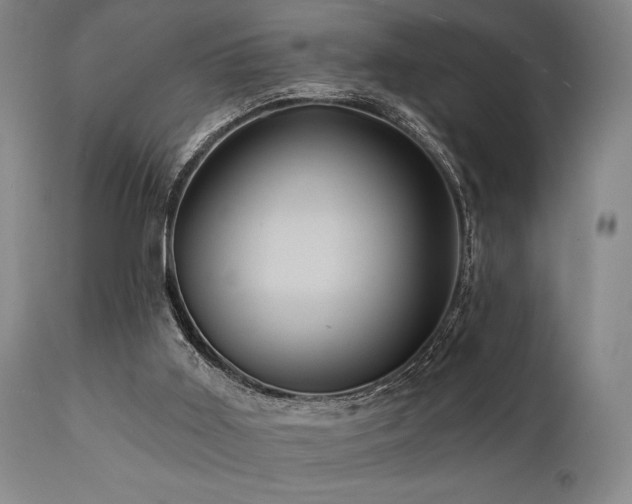 X0000112030011200908031447
