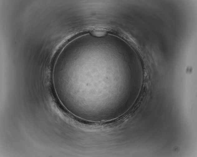 X0000112030012200908031447