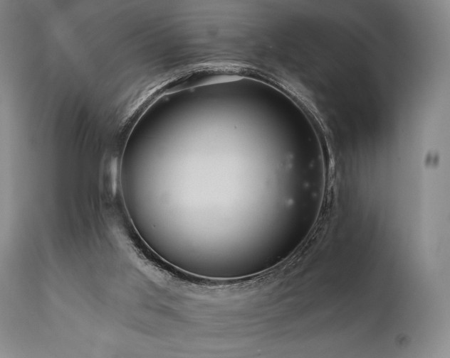 X0000112030013200908031447