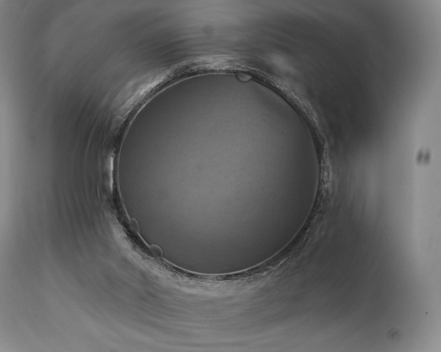 X0000112030014200908031447