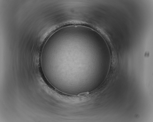 X0000112030015200908031447