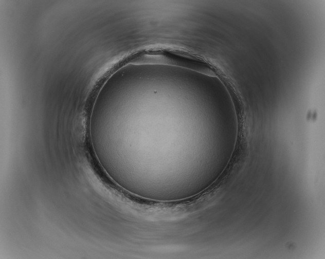 X0000112030016200908031447