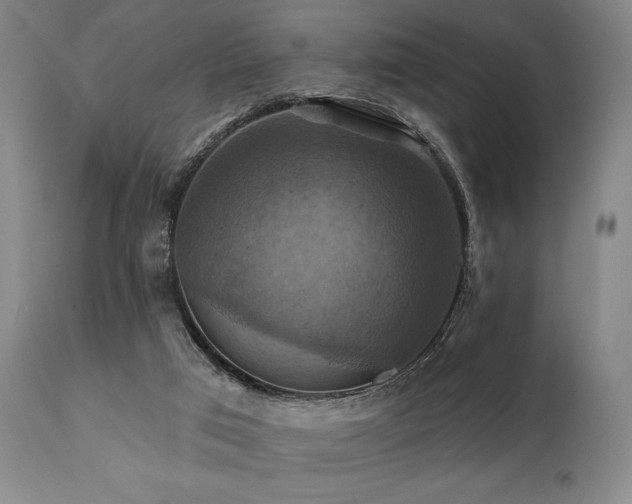 X0000112030017200908031447