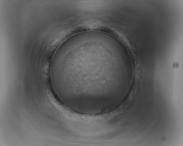 X0000112030018200908031447