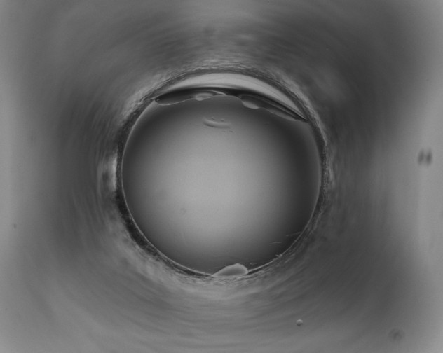 X0000112030019200908031447
