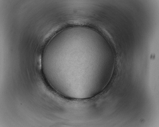 X0000112030020200908031447