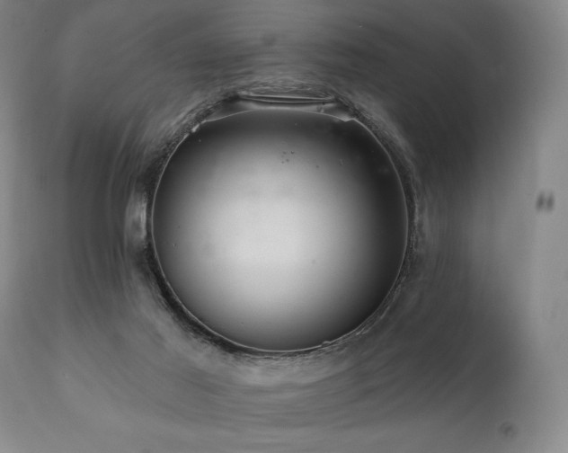 X0000112030021200908031447