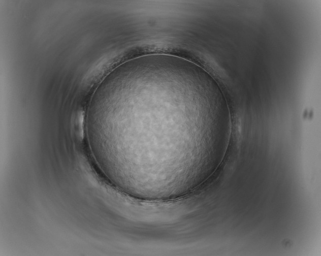X0000112030022200908031447