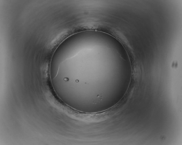 X0000112030023200908031447