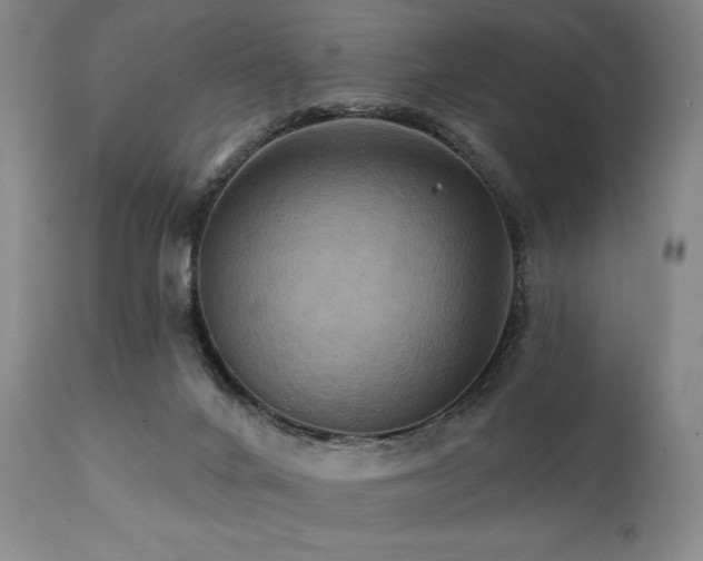 X0000112030024200908031447
