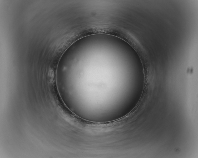 X0000112030025200908031447