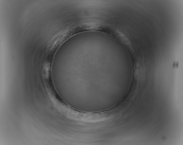 X0000112030026200908031447