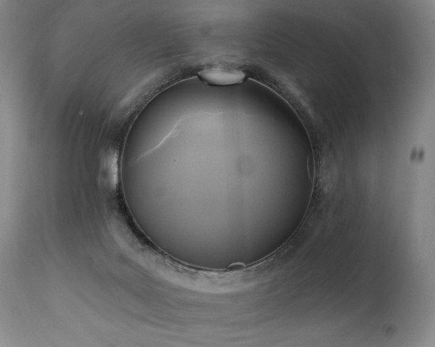 X0000112030027200908031447