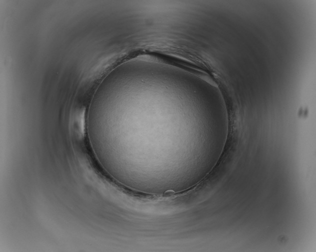 X0000112030028200908031446