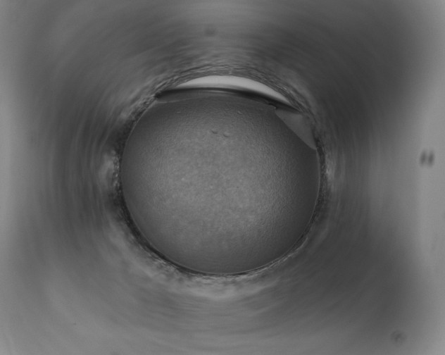 X0000112030029200908031446