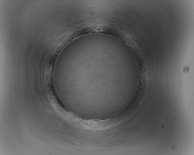 X0000112030030200908031446