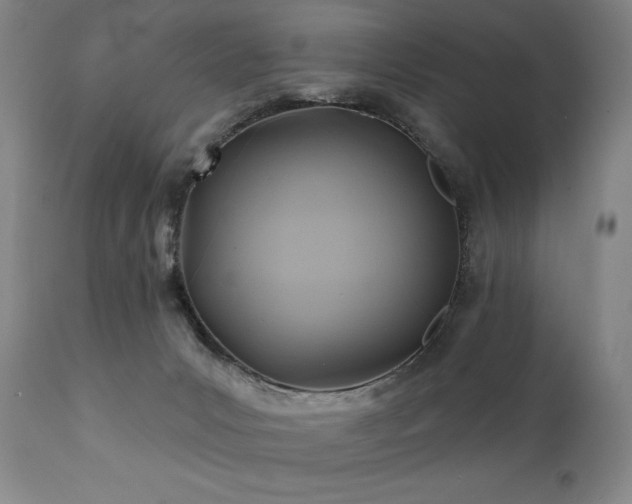 X0000112030031200908031446