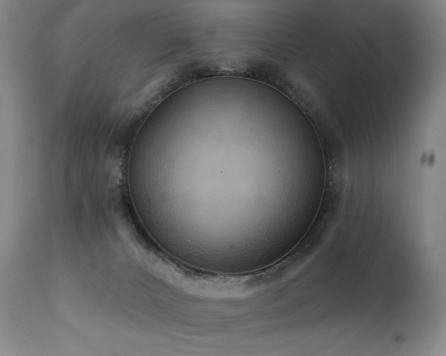X0000112030032200908031446