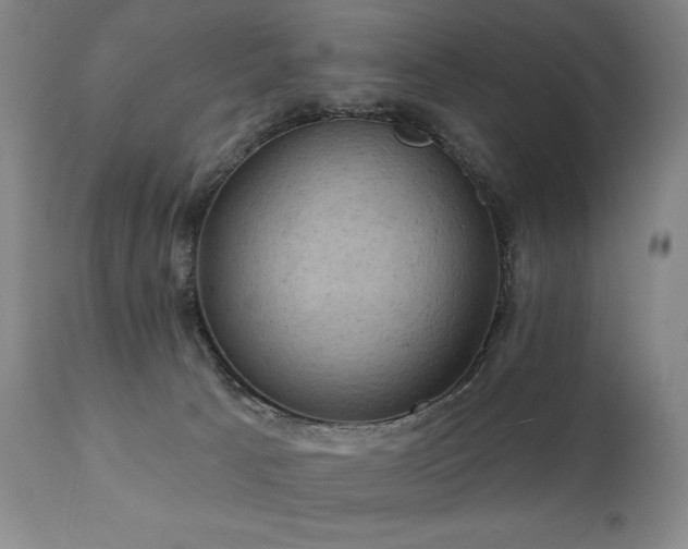 X0000112030033200908031446