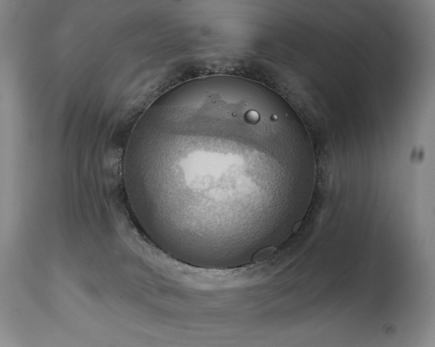 X0000112030034200908031446
