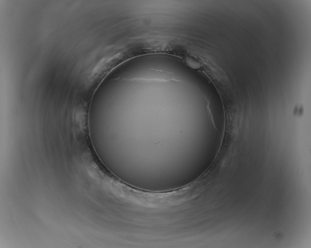 X0000112030035200908031446