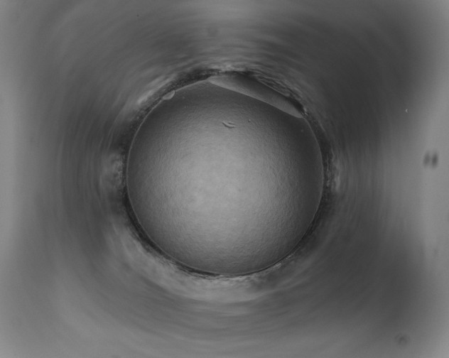 X0000112030036200908031446