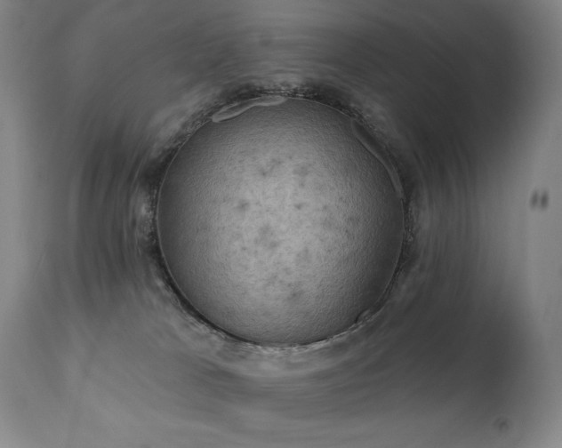 X0000112030037200908031446