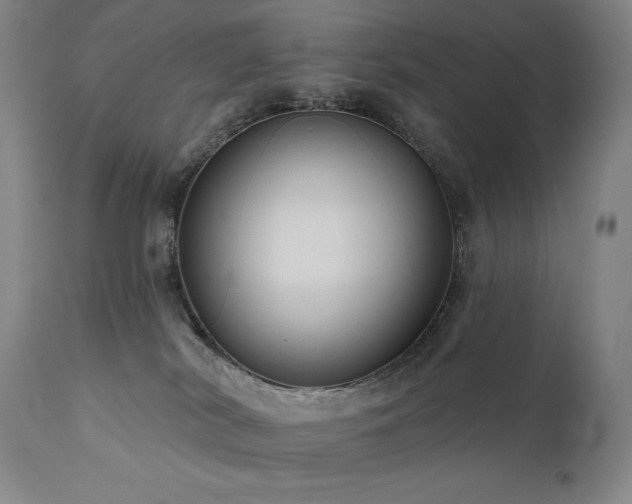 X0000112030038200908031446