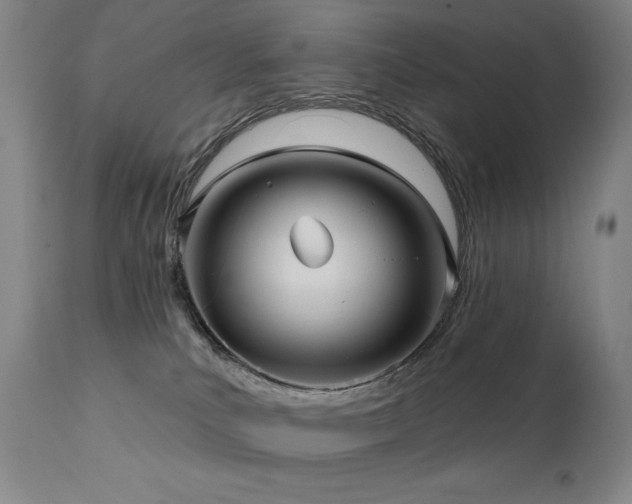 X0000112030039200908031446