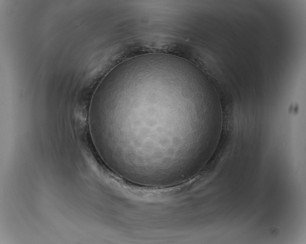 X0000112030040200908031446
