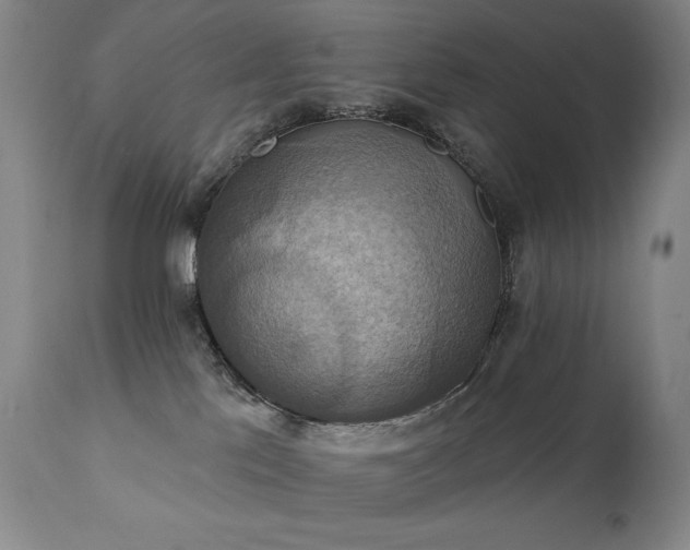 X0000112030041200908031446