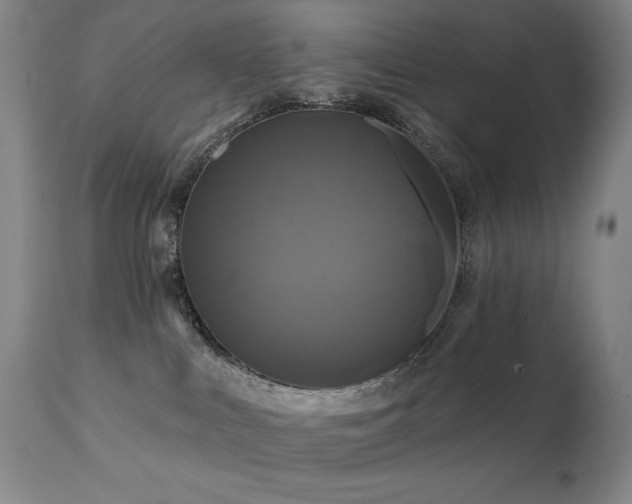 X0000112030043200908031446