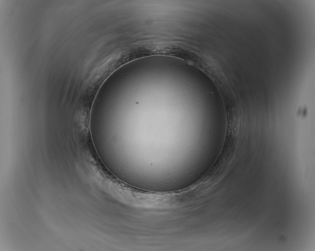 X0000112030044200908031446