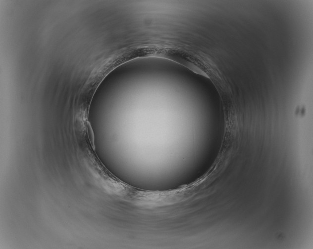 X0000112030045200908031446