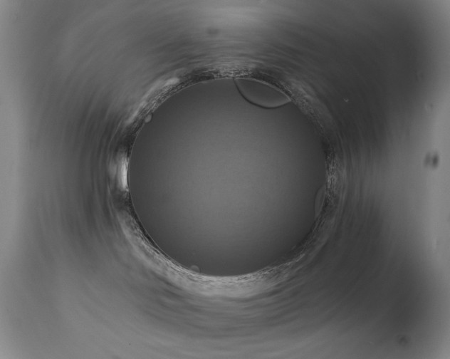 X0000112030046200908031446