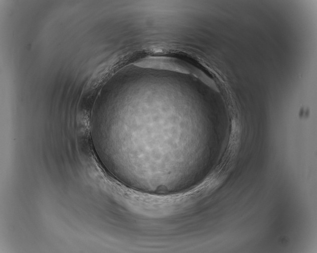X0000112030048200908031446