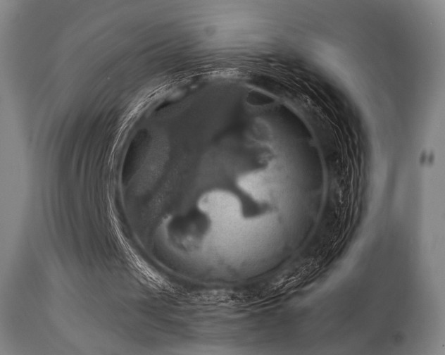 X0000112030049200908031446