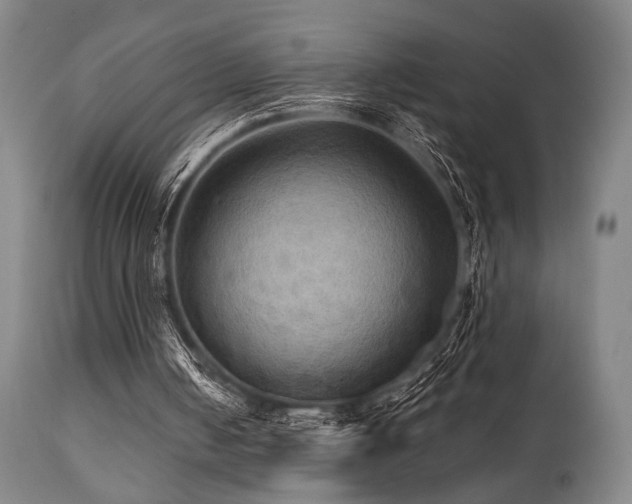 X0000112030050200908031446