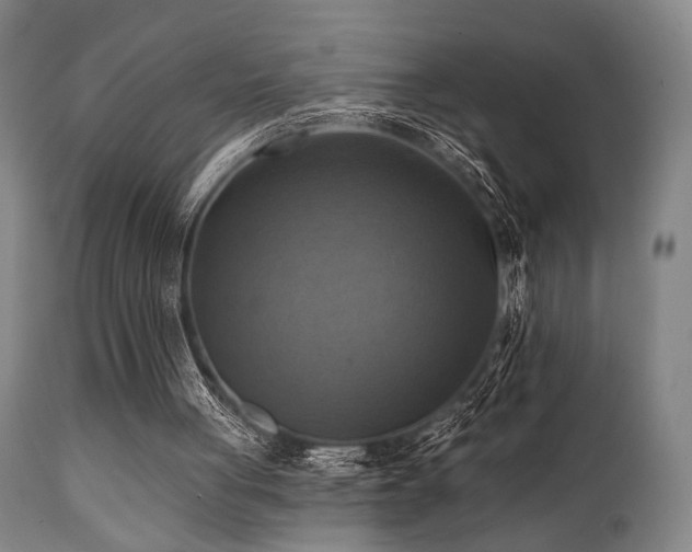X0000112030051200908031446