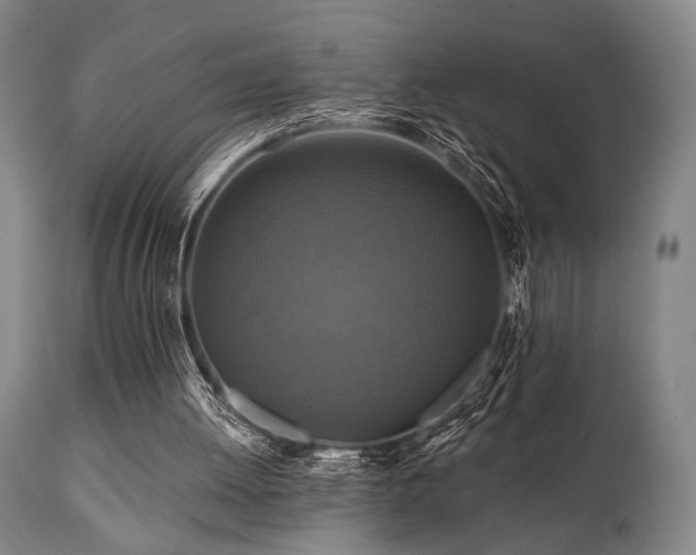 X0000112030052200908031446