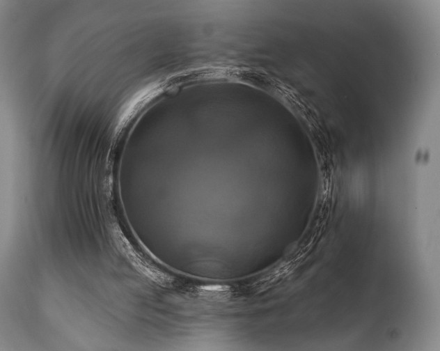 X0000112030053200908031446