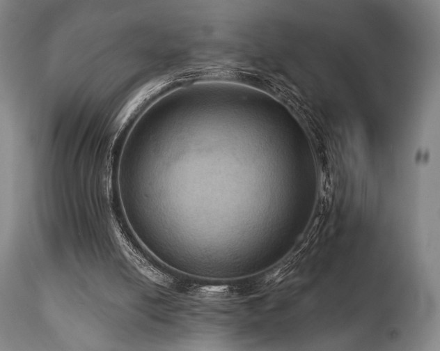 X0000112030054200908031446