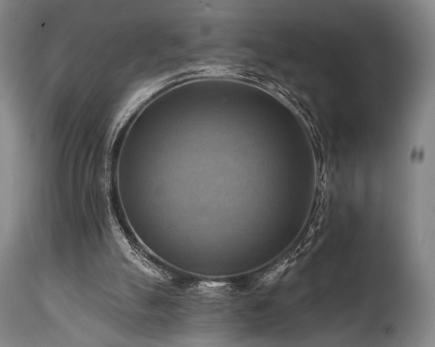 X0000112030055200908031446