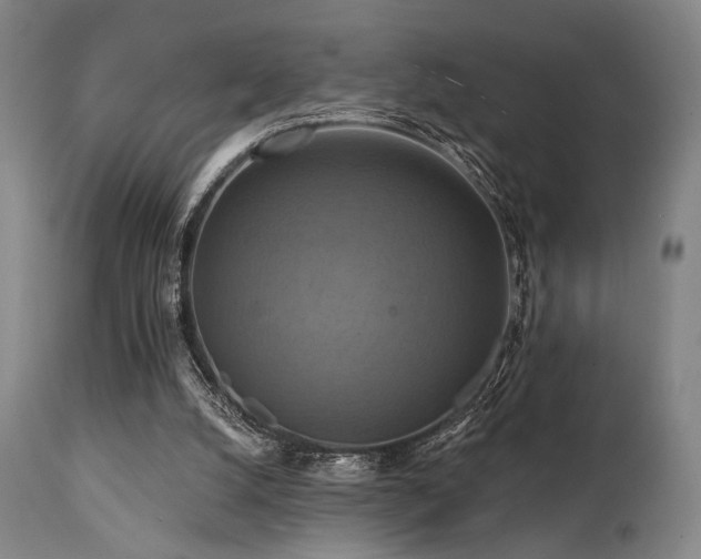 X0000112030056200908031446